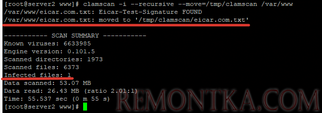 перенос зараженных и подозрительных файлов в карантин clamav