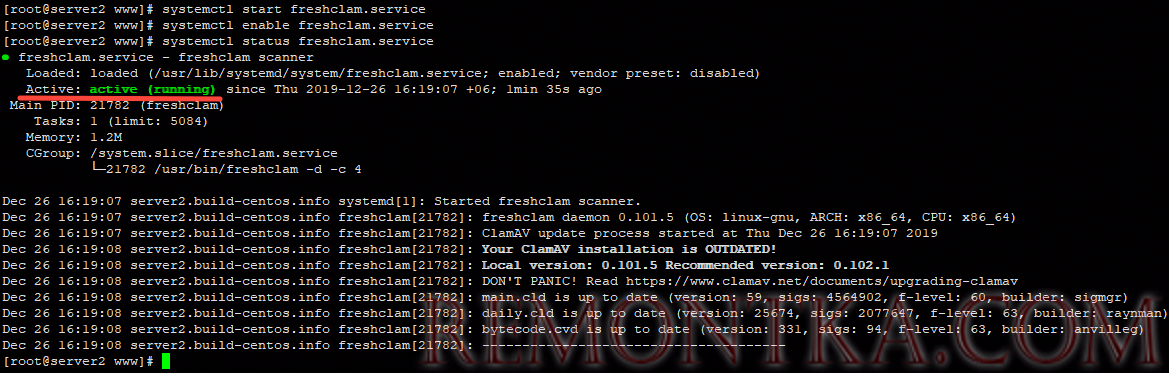 systemctl status freshclam.service