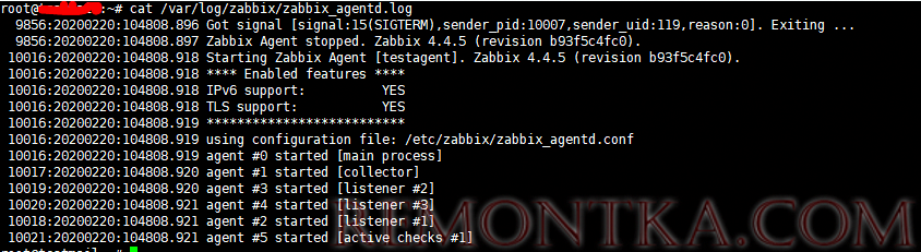 лог zabbix_agentd