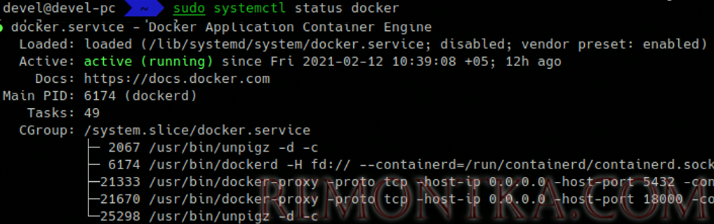 status docker active (running) 