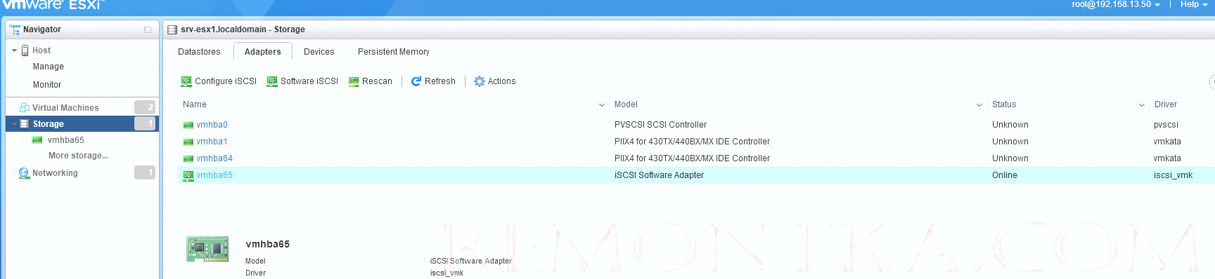 vmhba65 типа iSCSI Software Adapter