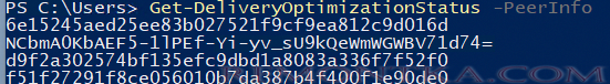  Get-DeliveryOptimizationStatus –PeerInfo получить информацию о пирах