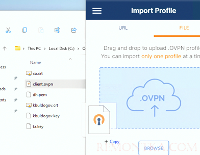 импорт конфигурации клиента ovpn в openvpn клиент