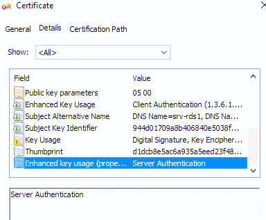 Сертификат типа Server Authentication