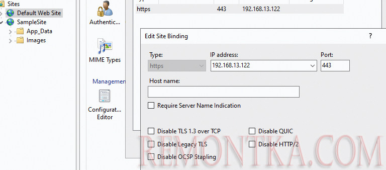 настройки привязки сайта IIS