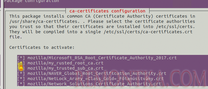 добавить сертификаты в доверенные CA в Linux