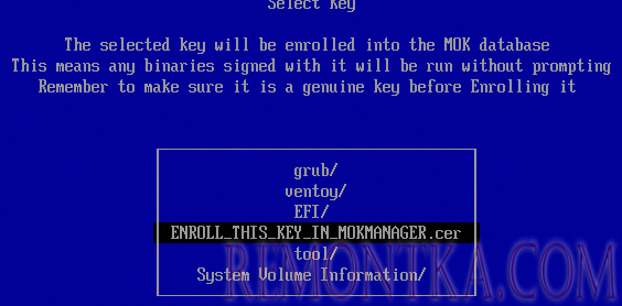 ENROLL_THIS_KEY_IN_MOKMANAGER.cer