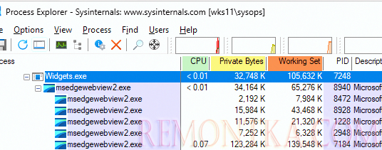 Процесс widgets.exe использует много памяти