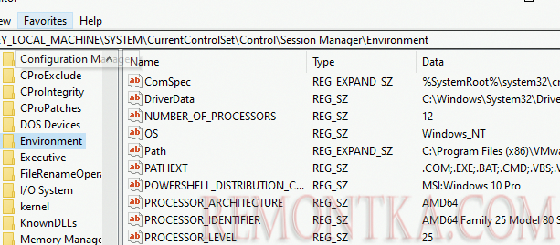 Переменные окружения хранятся в реестре Windows