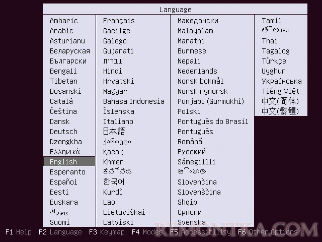 Выберите язык установки сервера Ubuntu 16.04