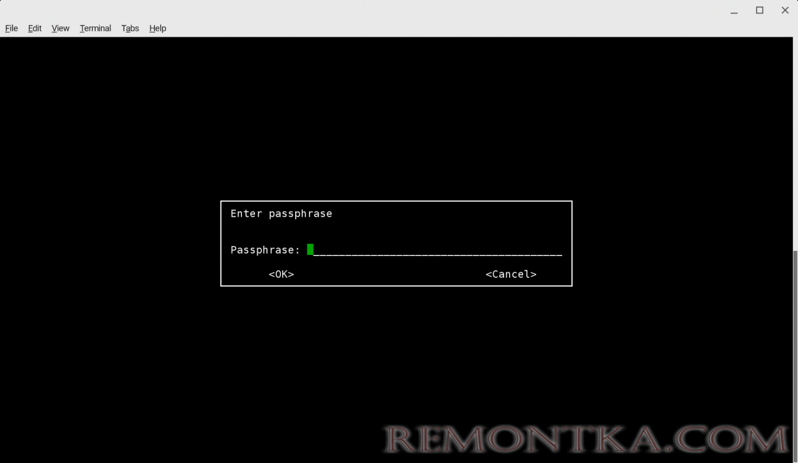 GnuPG: Ввод пароля для шифрования файла. Debian 9