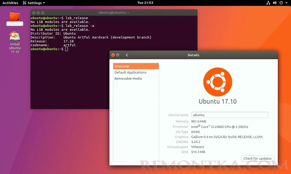 Fedora и Ubuntu: главные отличия дистрибутивов Linux