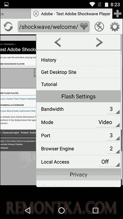 Photon Flash Player and Browser
