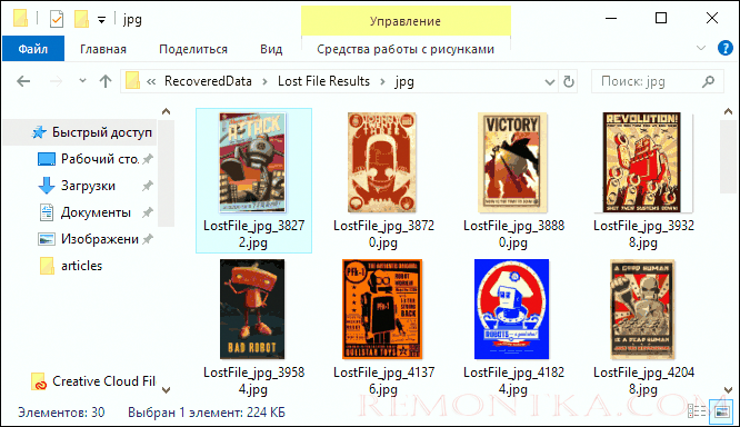 Успешно восстановленные изображения Lazesoft Data Recovery