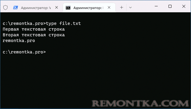 Вывод текстового файла с помощью команды type