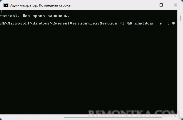 Удаление параметров Iris Service
