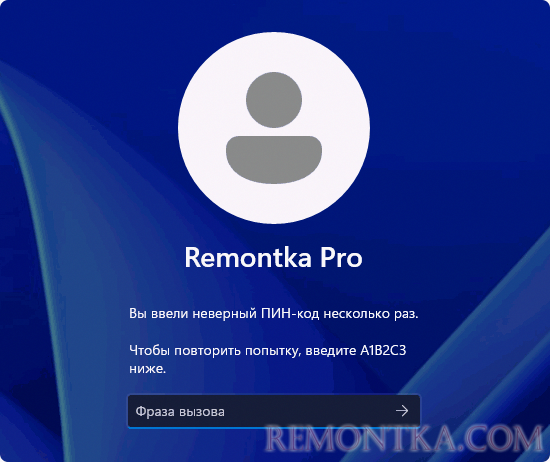 Сообщение Чтобы повторить попытку, введите A1B2C3 при входе в Windows