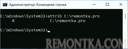Папка Только для чтения в Windows