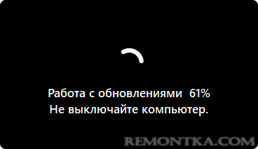 Установка обновления Windows 11 с помощью WinPass11