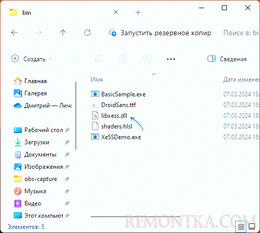 Файл libxess.dll в XeSS SDK