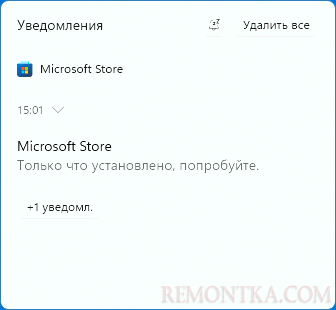 Microsoft Store установлен в системе