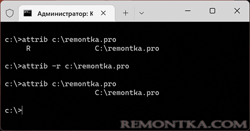 Убрать атрибут Только для чтения с папки Windows