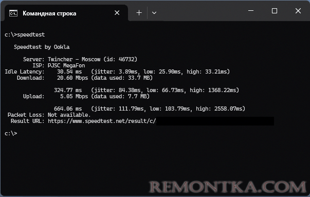 Результат проверки в Speedtest CLI