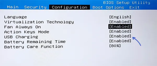 Опция USB Charging в БИОС