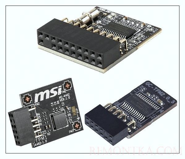 Trusted Platform Module 