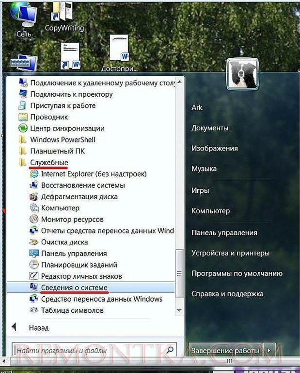 В открывшемся списке щёлкаем «Служебные», затем – «Сведения о системе».