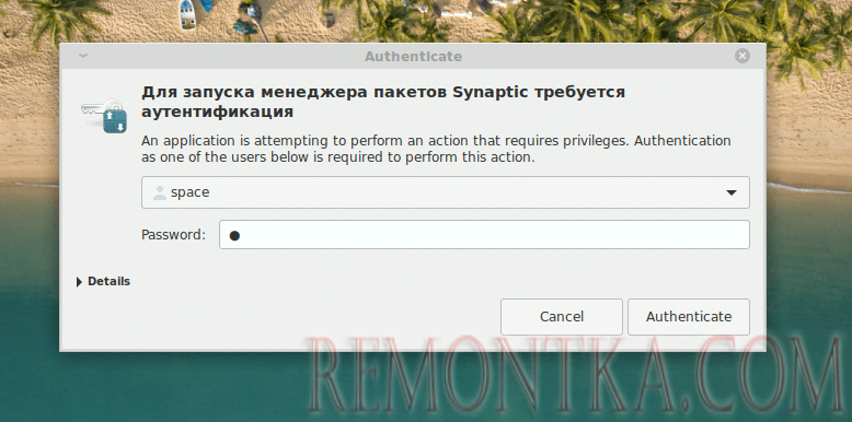 Для запуска менеджера пакетов придется авторизоваться