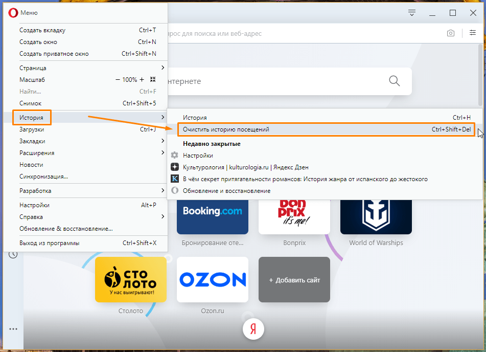 Меню Оперы - очистить историю посещений