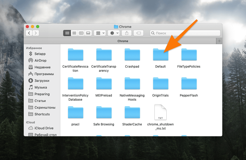 Содержимое папки Chrome в macOS