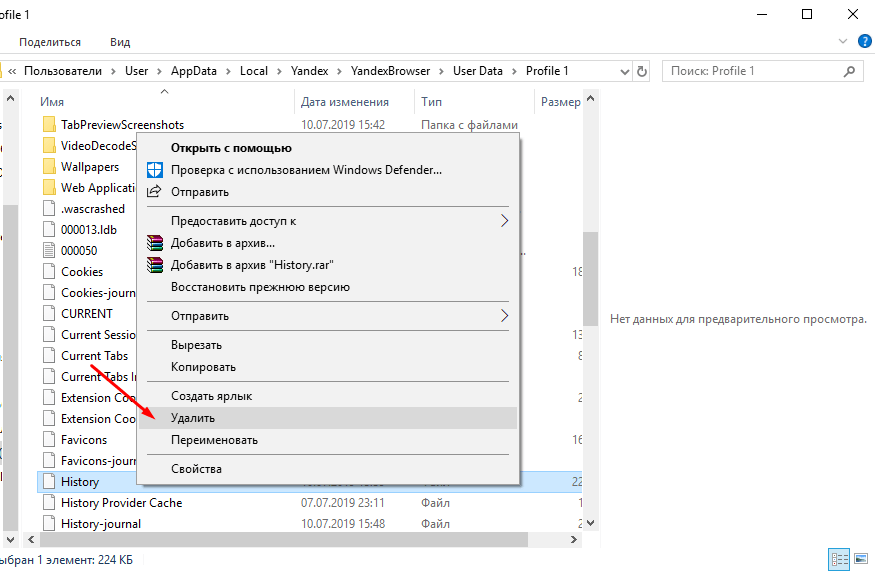 C:UsersUserAppDataLocalYandexYandexBrowserUser DataProfile 1