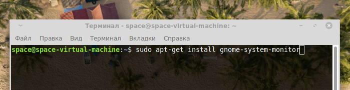 Команда установки gnome-system-monitor в операционной системе Linux Mint