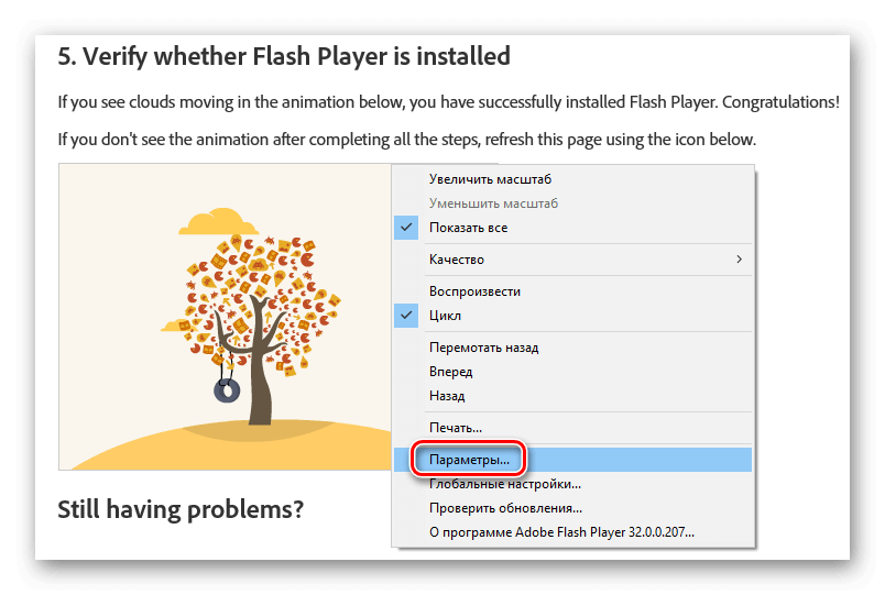 Параметры Flash Player в контекстном меню